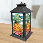 Briarwood Lane Pineapple And Stripes Lantern