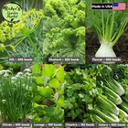 Canning   Pickling Herb Seeds Set  Classic 7-variety  Non-gmo  Free Shipping