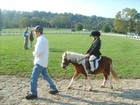 New Black Brown Tan Leather English Bridle W Reins Horse Cob Pony Miniature Mini