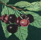 Ehrman Cherries  Kaffe Fassett Retired Rare Tapestry Needlepoint Fruit Kit