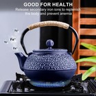 Cast Iron Teapot Japanese 30 5 Oz Kettle For Stove Top With Stainless Steel