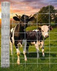 4 5 6ft X 328ft Galvanized Wire Fence  Cattle Farm Fence Field Livestock Pasture