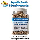 1 - 3  Fresh Water Fish - Freeze Dried For Large Fish  Turtles   More  Jar