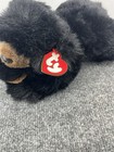 Ty Baby Paws Black Bear Plush Classic 11  Stuffed Animal