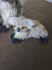 Vintage Real Fur Koala Bear Family Figurine Set 3-piece Australian Souvenir