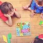 Animal Shapes Jigsaw Puzzle  Wood Playset  Educational Pre-kindergarten Gift Toy