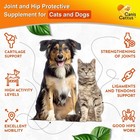 Glucosamine And Chondroitin For Cats   Dogs Pet Joint Supplement Hip Liquid Supp