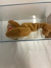 Ty Beanie Baby    authenticated Nip Old Face Detached Tag 3-1 Beautiful Beanie