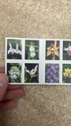 Mnh 100 Usps Wild Orchids Forever Stamps 2019 Scott  5457 Mint Nh Usps