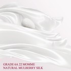 100  Silk Pillow Cases 2 Pack Standard Size Mulberry Silk Pillowcase Set Of 2   