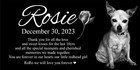 Personalized Pet Stone Memorial Grave Marker Granite Plaque Animal Human Dog