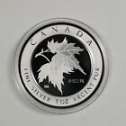 Canada 2005 1oz 9999 Silver Maple Leaf Of Hope In Ogp With Coa - Decayed Box