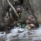 Waterfowl Jerk Rig Decoy Ultimate Motion Device For Duck Hunting  Gives Motion F