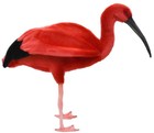 Hansa Scarlet Ibis 54 Animal Stuffed Toy
