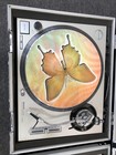 Technics 1200 Mk2  2  Quartz Direct Drive Turntable W hard Travel Case