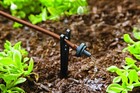Raindrip Automatic Drip Irrigation Watering Kit W  Timer 2 Gph Drippers Flowers