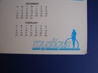 Vintage Circle Air Dist Calendar Risqu   Hot Lady Pin Up 1998 17   x 9    Mistique