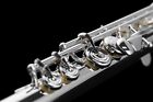 Mint Open Box Di Zhao Dz 801bef Solid Sterling Silver Flute  C  Trill  D  Roller