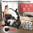 Recumbent Exercise Bike For Home Stationary Bike Workout Bike With Arm Exerciser