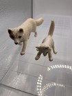 Schleich Arctic Fox Kit Figure 2010 Polar Baby   Adult Wildlife Retired 14639