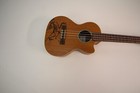 Cordoba 20tm-ce Tenor Ukulele  Mahogany  Electric Acoustic Uke Handmade