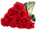 Artificial Rose Flowers 10pcs 50cm Long Stem Silk Wedding Valentine Decor