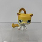 Littlest Pet Shop Shorthair Kitty Cat Yellow White With Hair Blue Eyes  42 Lps