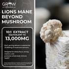 13 000mg Organic Lions Mane Mushroom Nootropic Brain Memory Focus Immune Support