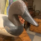 Vintage Canvasback Drake Duck Decoy From Former Dupont Industries Hunting Club
