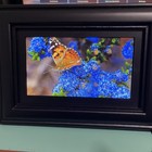Coby Dp-758 7  Widescreen Digital Photo Frame Black