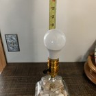 Vintage Seashell Filled Glass Table Lamp Beach Cottage Lake Coastal 13 Inches