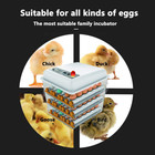 Automatic Egg Incubator 150 180 Egg Incubator Digital Automatic Hatcher With Egg