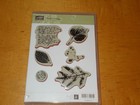 Stampin Up French Foliage Clear Mount Stamp Set  Very Good Condition