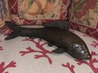 Special   large bronze   koi                     Antique   11 5 l   x   5 5 w   x   3 5 h
