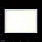 Old Vintage Photo Smiling Woman Standing By Wall