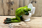 Frog Hungover In Toilet Figurine 