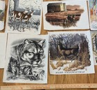 Vintage Wildlife Heat Transfer Lot Bear Deer Wolf Raccoon Iron On Graphics
