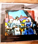Blondie Rare Cd 2006 Alpine Ca Road Rage Concert Tour Wild Version In The Flesh 