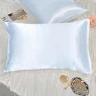 Toddler Pillow Cover Satin 2 Pack Travel Case Toddler  Baby Blue 