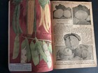 1920 Henry Field Seed Catalog  Shenandoah Iowa Fabulous Graphics