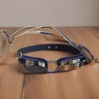Speedo Competitive Vanquisher 2 0 Swimming Goggles