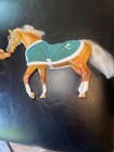 Grand Champions Horse-feed N Nuzzle Horse   Mare-sunflower   Wildflower
