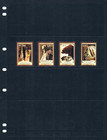 1 2off  14 00 Scott Value  - 2007 Romania Cave Exploration Bears Cv Mnh Nh Umm