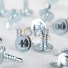  500  8 18-8 Phillips Truss Head Zinc Sheet Metal Self Tap Screw 1 2 Inch