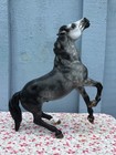 Breyer Horse Custom Semi Rearing Mustang Stallion Dark Dapple Grey Cm Repaint