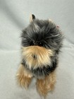 Ty Classic    daisy    The Yorkshire Terrier Yorkie Puppy Dog Plush 2007 W  Mint Tag