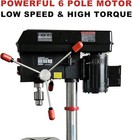 Bucktool 12   6 Pole Motor Variable Speed Bench Drill Press 360   2000rpm dp12vl-2