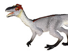 Vintage 2005 Carnegie Safari Ltd Feathered Dilong Dinosaur Figure Rare  read 