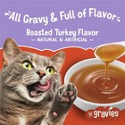 Purina Friskies Lil Gravies Cat Food Complement   16  1 55 Oz Pouches   Roast   