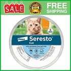 Bayer Seresto  Flea And Tick Collar For Cats  8 Month Protection  for All Sizes